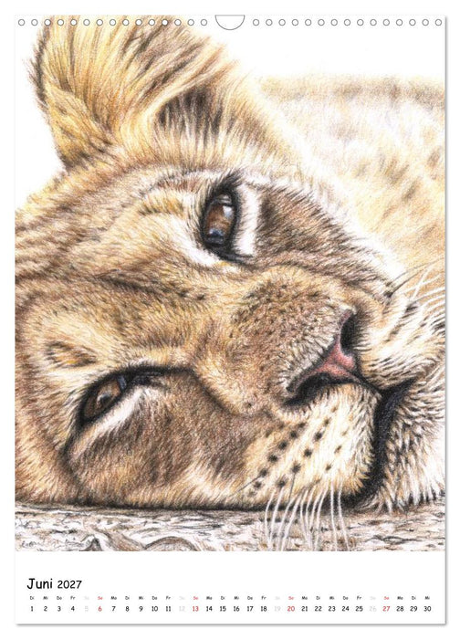 Wildlife Portraits (CALVENDO Wandkalender 2027)