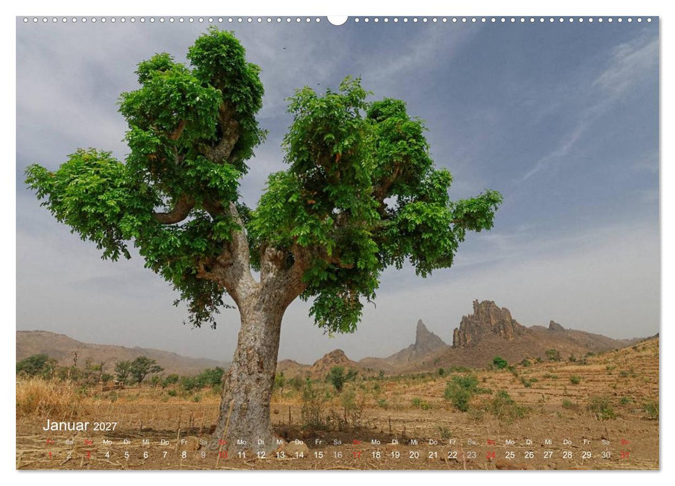Afrikanische Bäume (CALVENDO Wandkalender 2027)