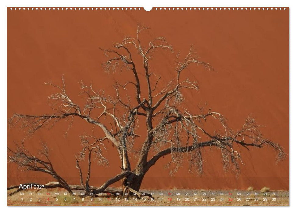 Afrikanische Bäume (CALVENDO Wandkalender 2027)