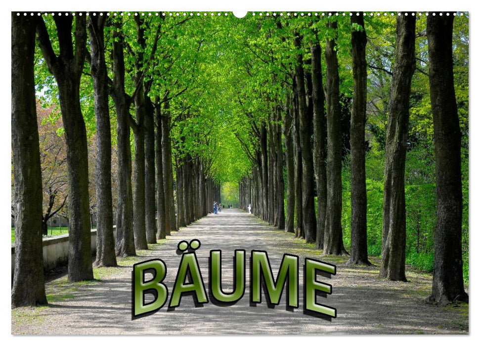 Bäume 2027 (CALVENDO Wandkalender 2027)