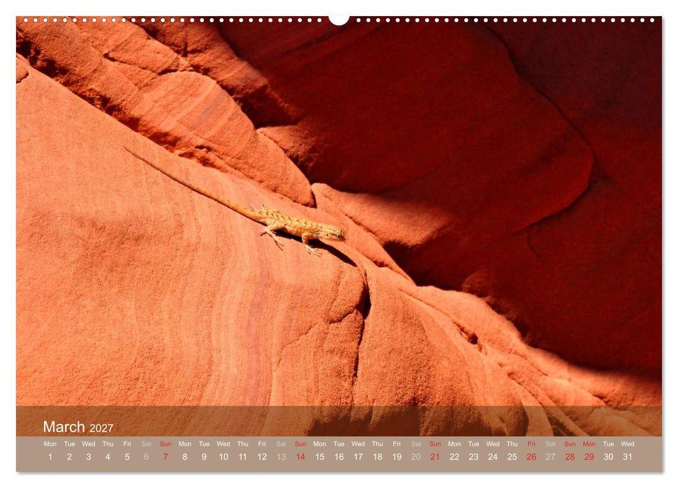 Lights and Colours of the Antelope Canyon (CALVENDO Premium-Calendar 2027)