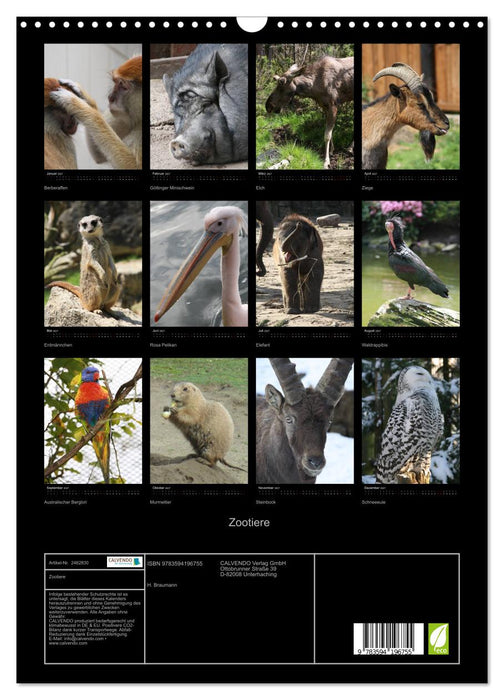 Zootiere (CALVENDO Wandkalender 2027)