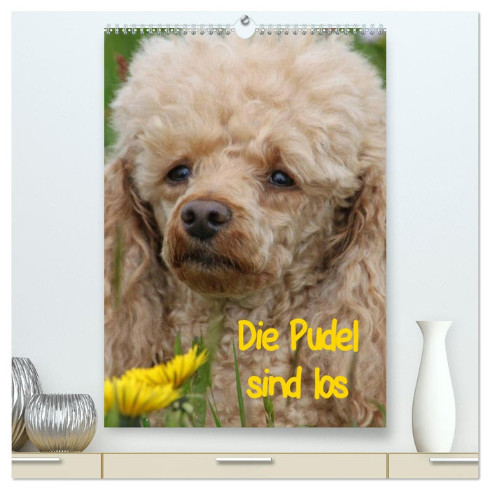 Die Pudel sind los (CALVENDO Premium Wandkalender 2027)