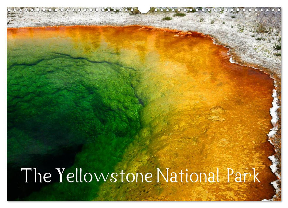 The Yellowstone National Park (CALVENDO Monthly Calendar 2027)