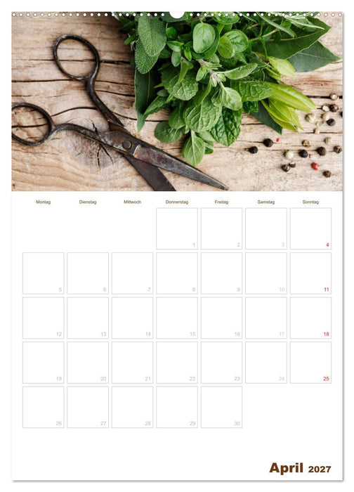 Küche !!! 2027 (CALVENDO Premium Wandkalender 2027)