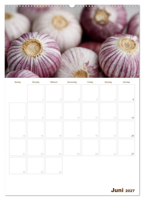 Küche !!! 2027 (CALVENDO Premium Wandkalender 2027)