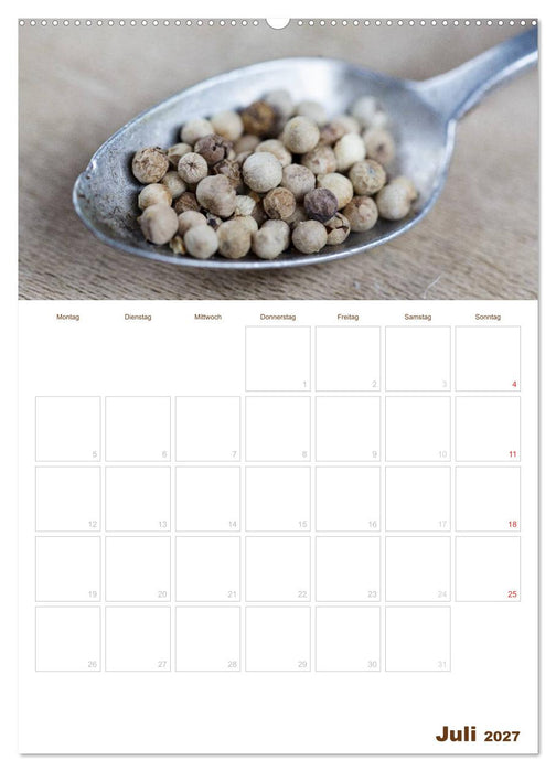 Küche !!! 2027 (CALVENDO Premium Wandkalender 2027)