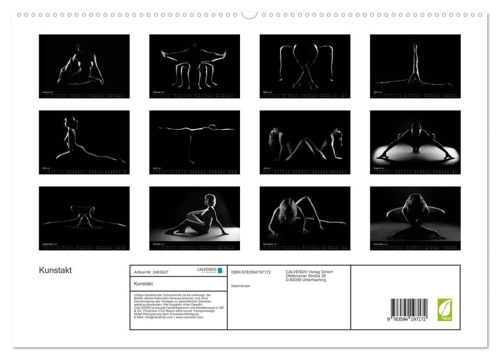 Kunstakt (CALVENDO Premium Wandkalender 2027)