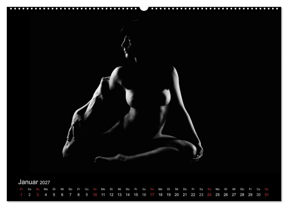 Kunstakt (CALVENDO Premium Wandkalender 2027)