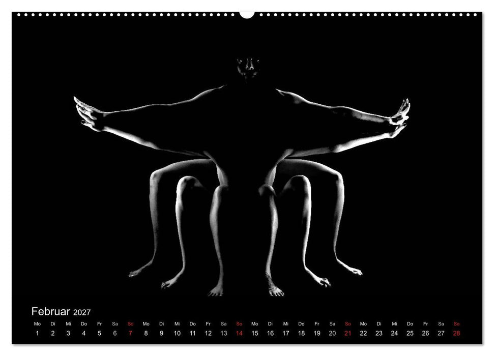 Kunstakt (CALVENDO Premium Wandkalender 2027)