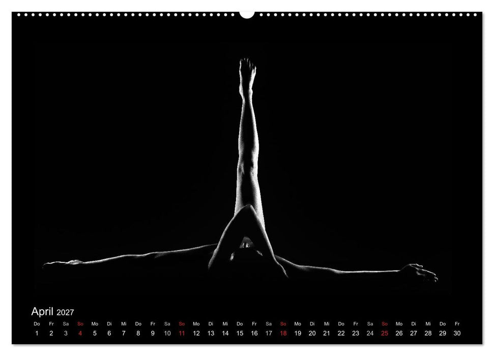 Kunstakt (CALVENDO Premium Wandkalender 2027)