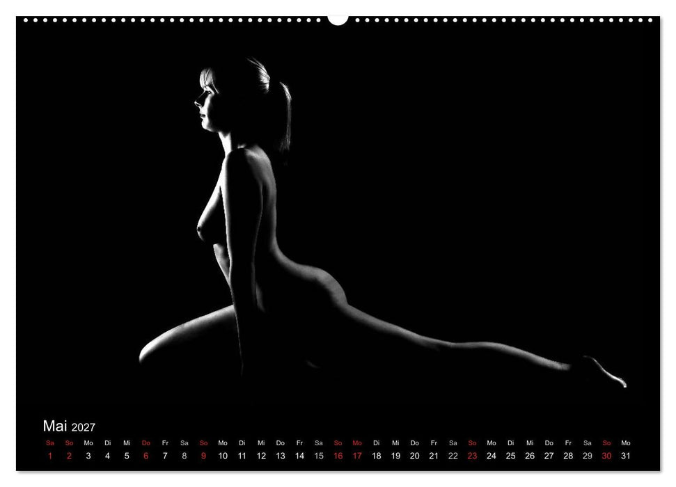 Kunstakt (CALVENDO Premium Wandkalender 2027)