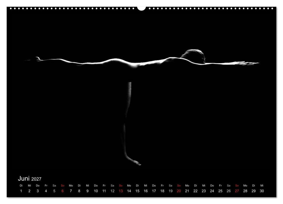 Kunstakt (CALVENDO Premium Wandkalender 2027)