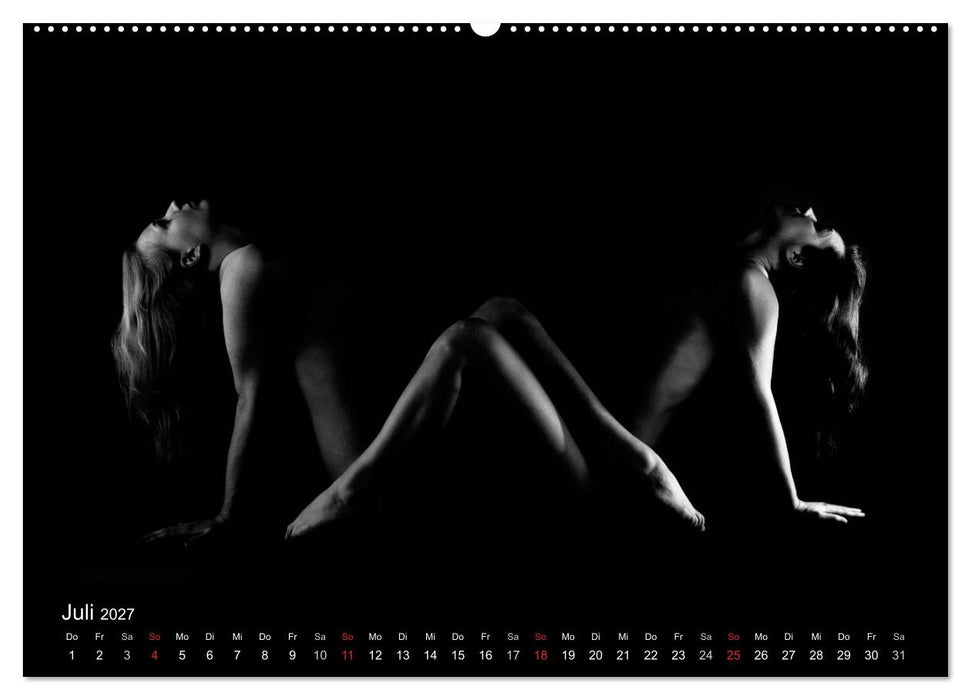 Kunstakt (CALVENDO Premium Wandkalender 2027)