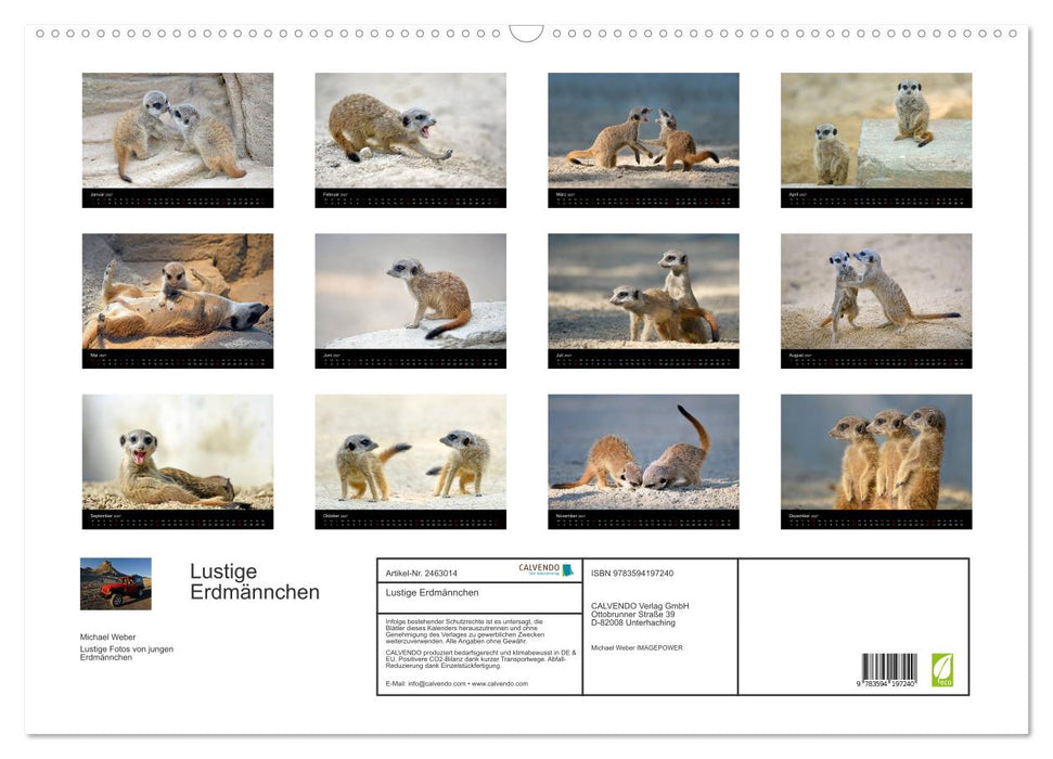 Lustige Erdmännchen (CALVENDO Wandkalender 2027)