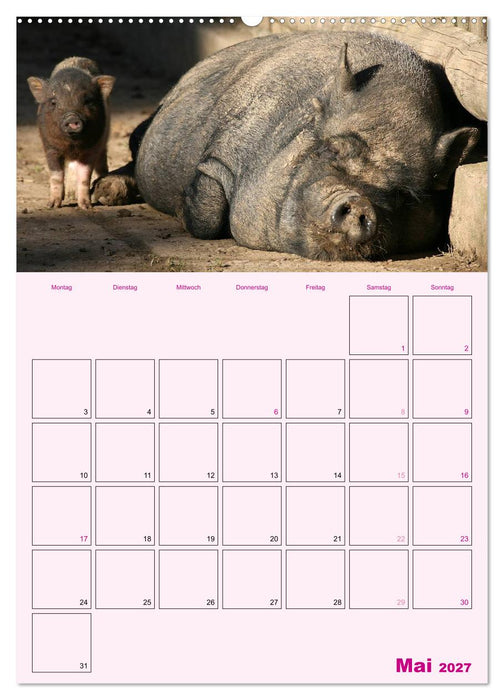 Schweinischer Terminplaner (CALVENDO Premium Wandkalender 2027)
