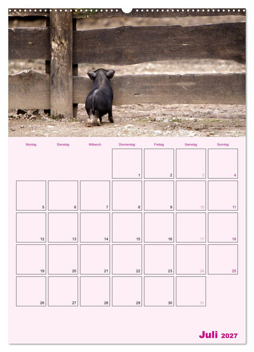 Schweinischer Terminplaner (CALVENDO Premium Wandkalender 2027)