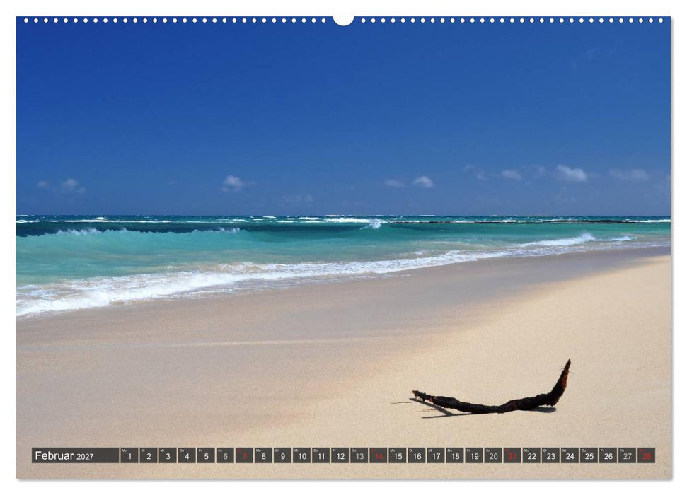 Ich will Meer ! (CALVENDO Premium Wandkalender 2027)