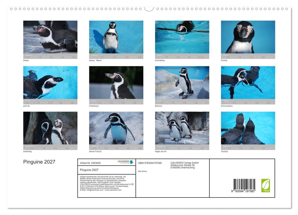 Pinguine 2027 (CALVENDO Premium Wandkalender 2027)