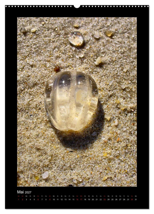Sylt Impressionen (CALVENDO Premium Wandkalender 2027)
