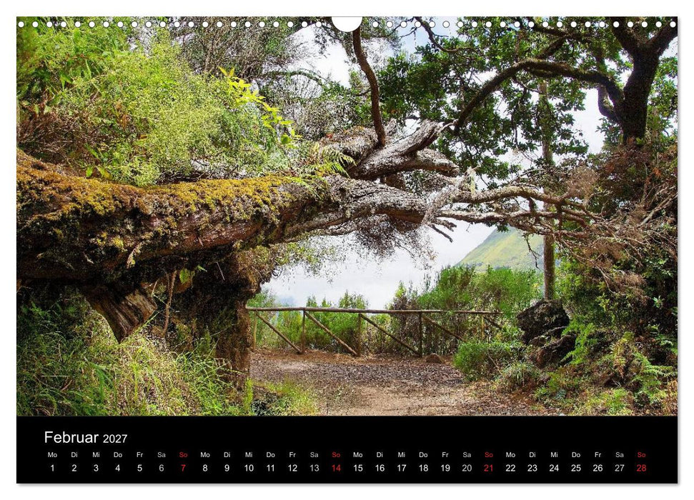 Madeira die Grüne Insel (CALVENDO Wandkalender 2027)