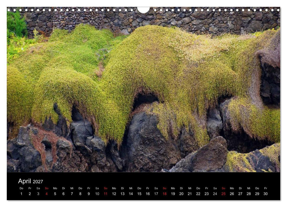 Madeira die Grüne Insel (CALVENDO Wandkalender 2027)