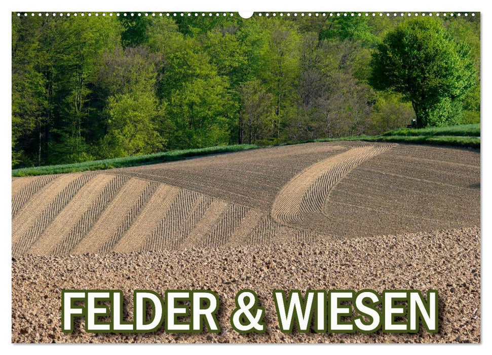 Felder und Wiesen (CALVENDO Wandkalender 2027)