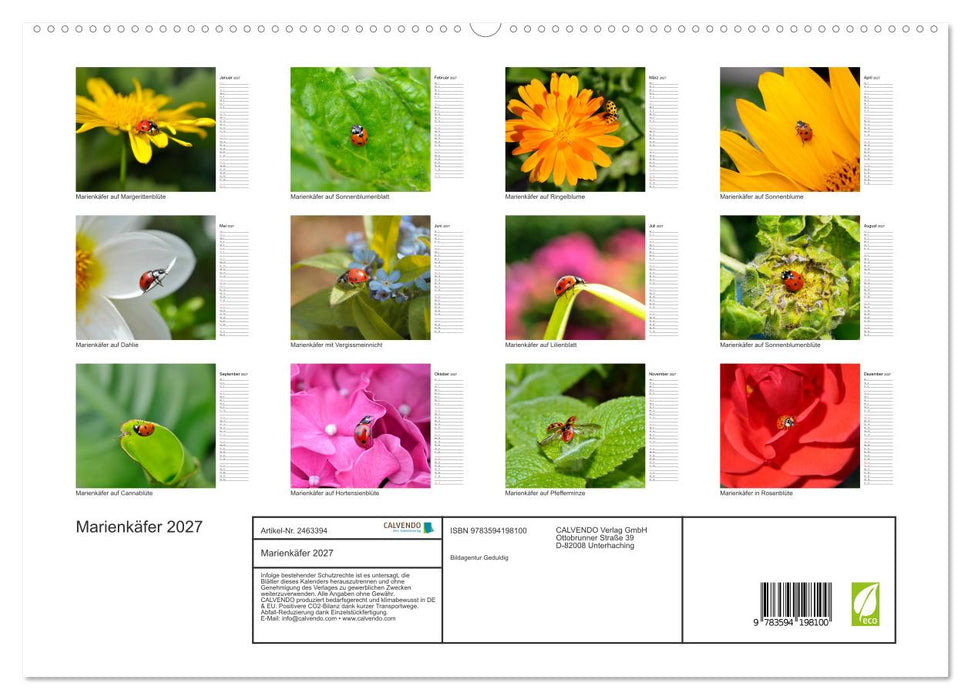 Marienkäfer 2027 (CALVENDO Premium Wandkalender 2027)
