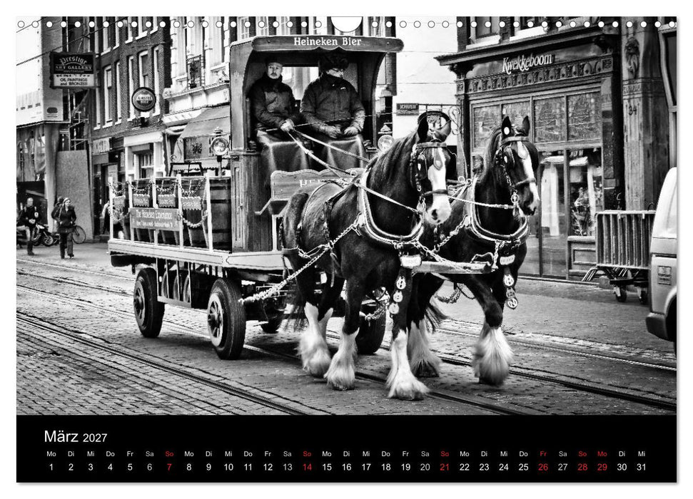 Amsterdam 2027 (CALVENDO Wandkalender 2027)