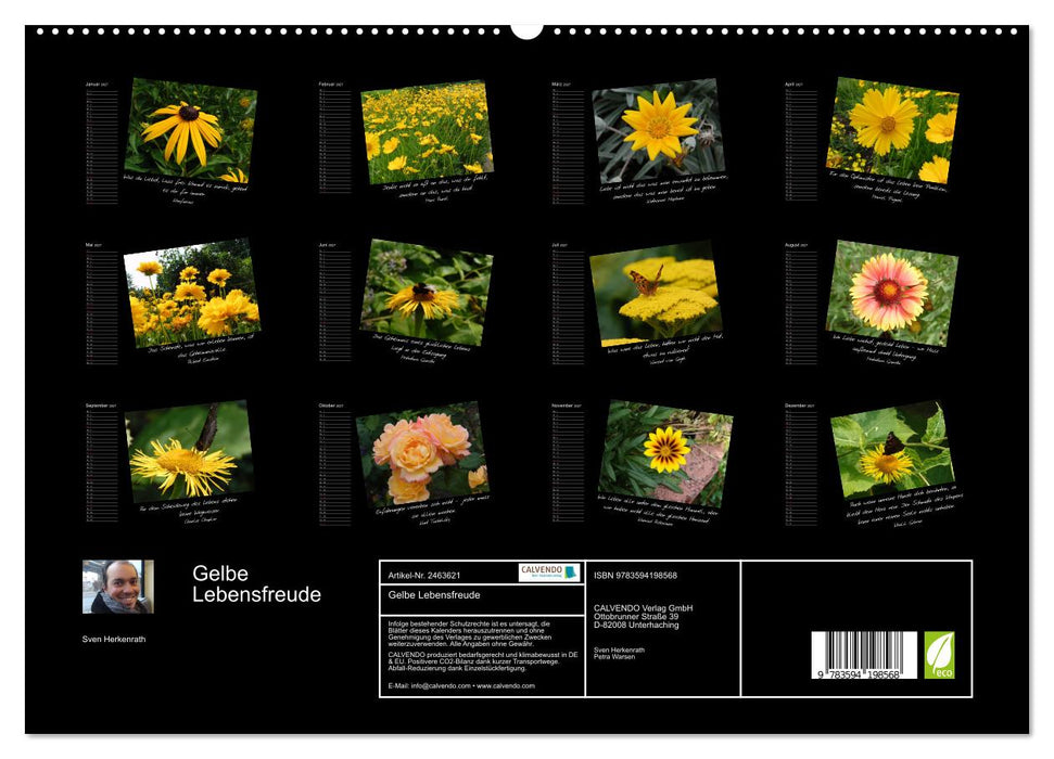 Gelbe Lebensfreude (CALVENDO Premium Wandkalender 2027)