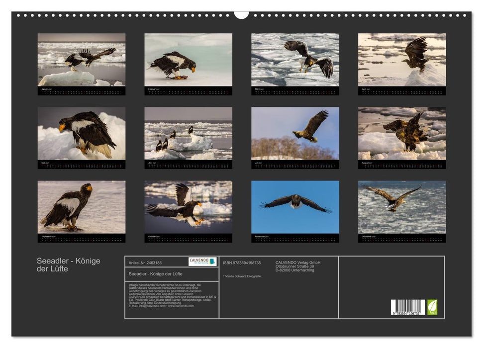 Seeadler - Könige der Lüfte (CALVENDO Wandkalender 2027)