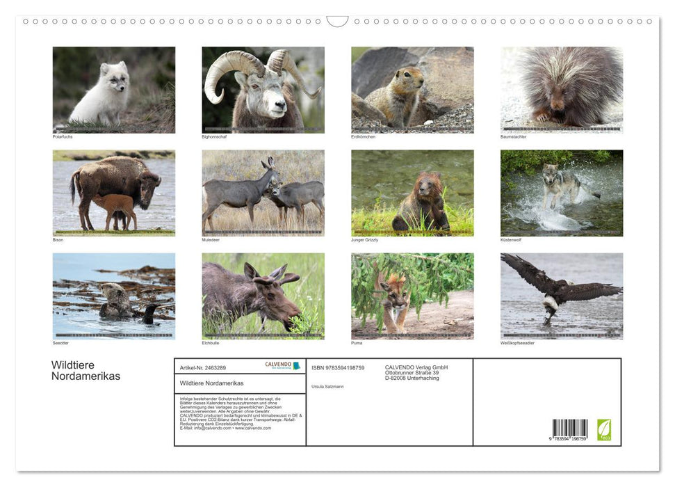 Wildtiere Nordamerikas (CALVENDO Wandkalender 2027)