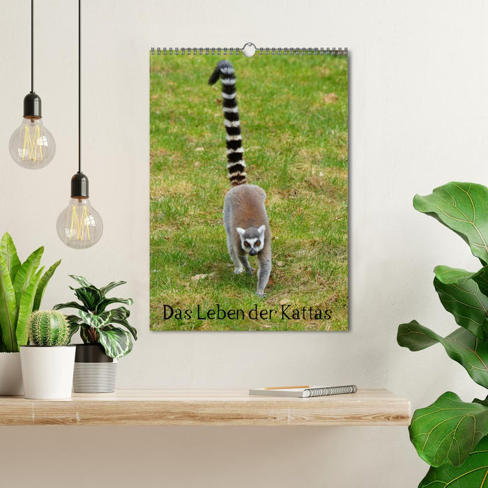 Das Leben der Kattas (CALVENDO Wandkalender 2027)