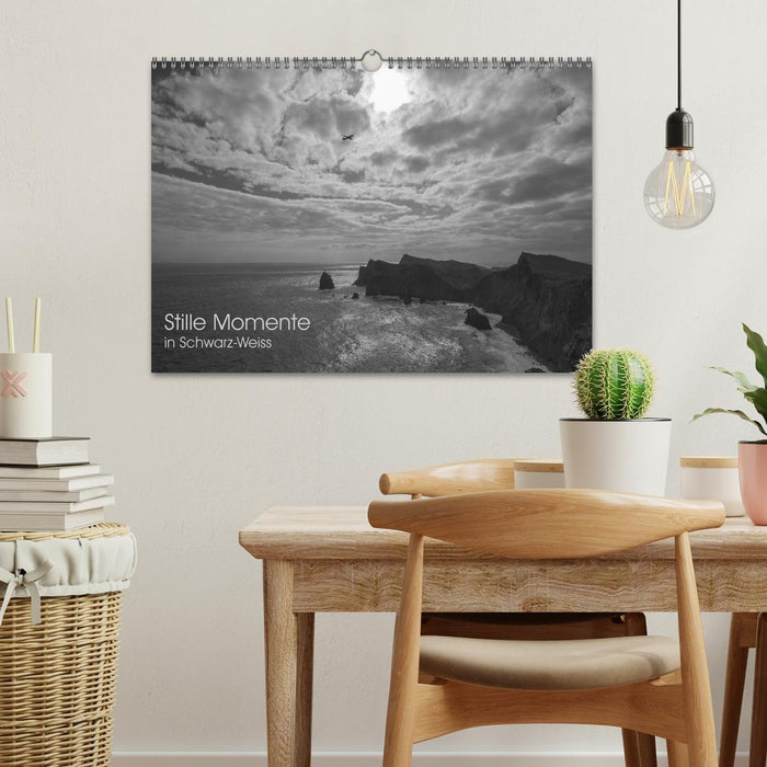 Stille Momente in Schwarz-Weiss (CALVENDO Wandkalender 2027)
