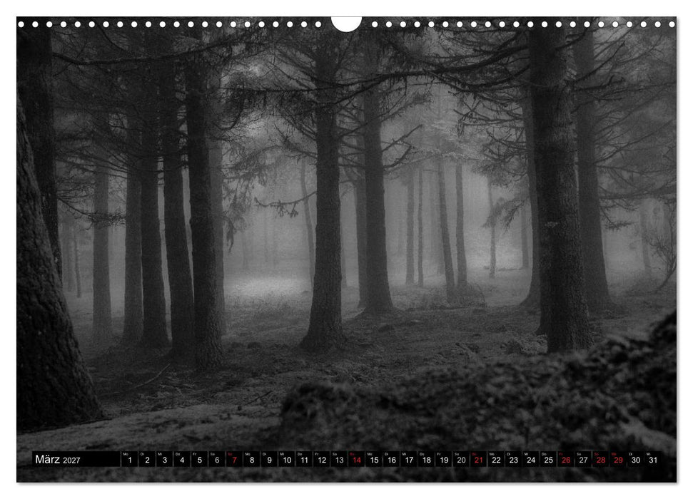 Stille Momente in Schwarz-Weiss (CALVENDO Wandkalender 2027)