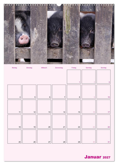 Schweinischer Terminplaner (CALVENDO Wandkalender 2027)