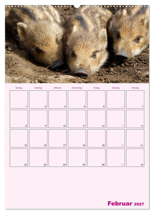 Schweinischer Terminplaner (CALVENDO Wandkalender 2027)