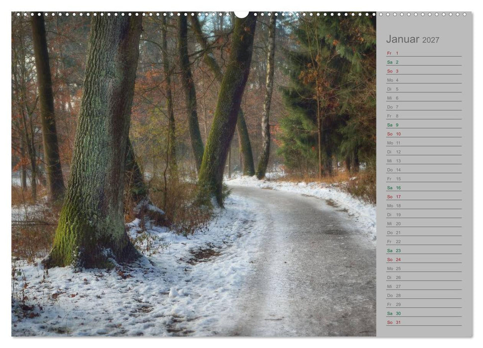 Planungskalender Märchenwald 2027 (CALVENDO Premium Wandkalender 2027)