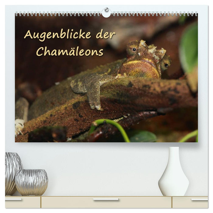 Augenblicke der Chamäleons (CALVENDO Premium Wandkalender 2027)