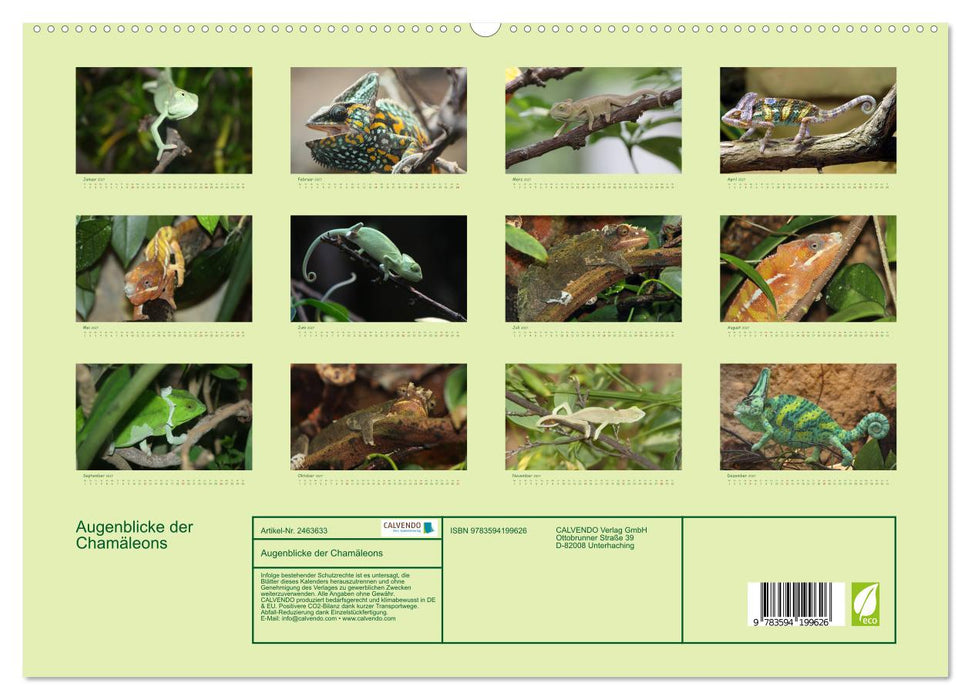 Augenblicke der Chamäleons (CALVENDO Premium Wandkalender 2027)