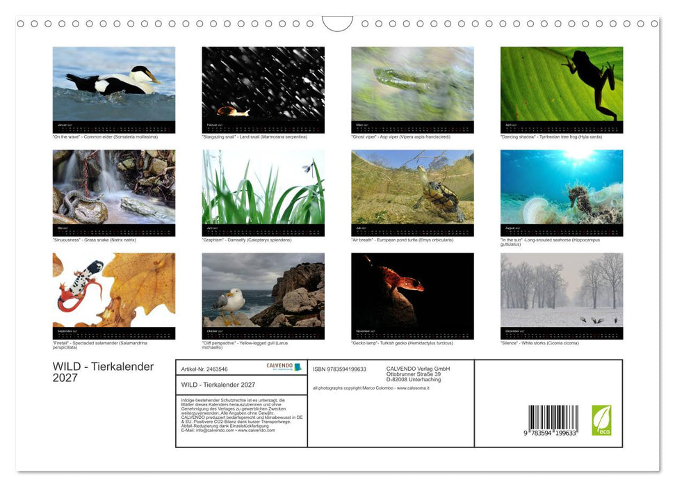 WILD - Tierkalender 2027 (CALVENDO Wandkalender 2027)