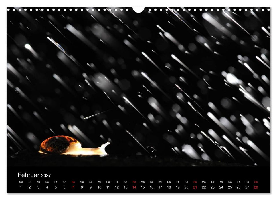 WILD - Tierkalender 2027 (CALVENDO Wandkalender 2027)