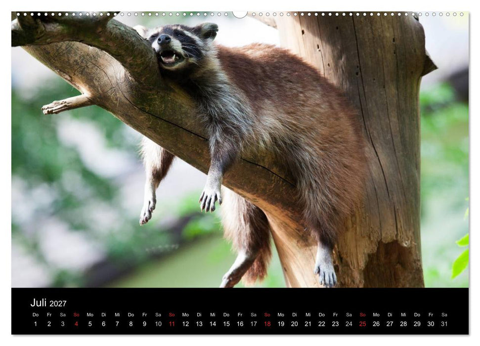 Tierkalender 2027 (CALVENDO Premium Wandkalender 2027)