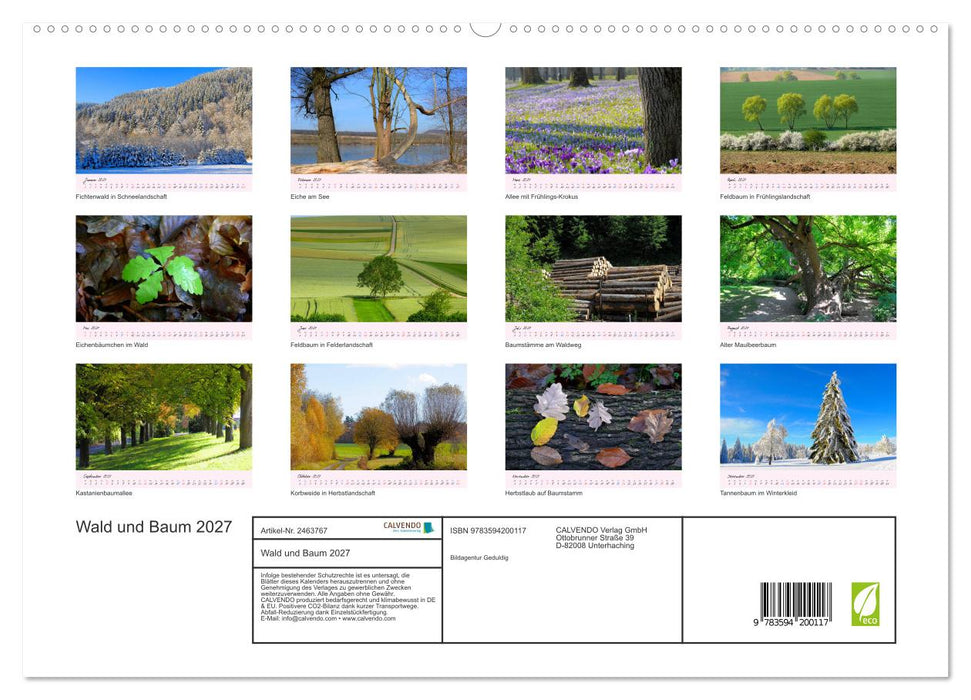 Wald und Baum 2027 (CALVENDO Premium Wandkalender 2027)