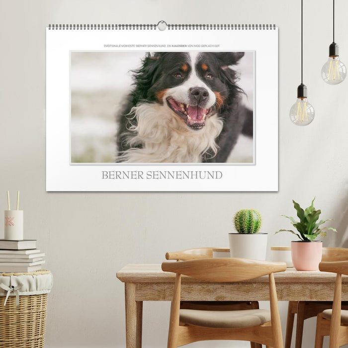 Emotionale Momente: Berner Sennenhund. (CALVENDO Wandkalender 2027)