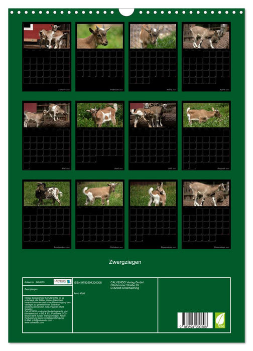 Zwergziegen (CALVENDO Wandkalender 2027)