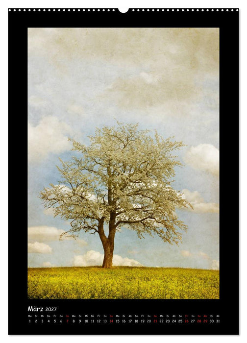 Baumtraum (CALVENDO Premium Wandkalender 2027)