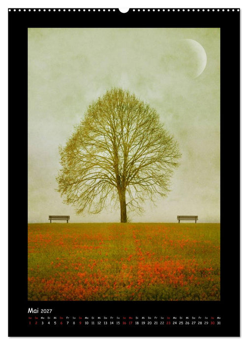 Baumtraum (CALVENDO Premium Wandkalender 2027)