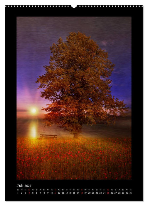 Baumtraum (CALVENDO Premium Wandkalender 2027)