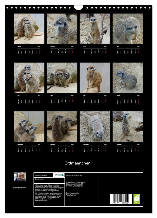 Erdmännchen (CALVENDO Wandkalender 2027)